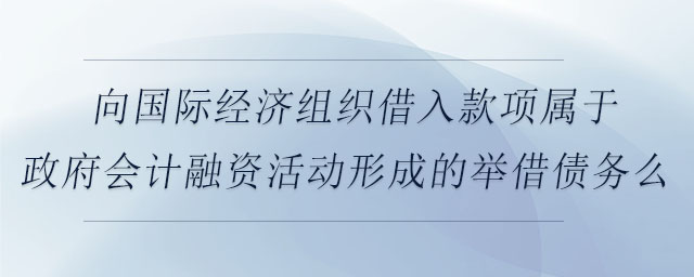向國際經(jīng)濟組織借入款項屬于政府會計融資活動形成的舉借債務(wù)么