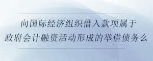 向國(guó)際經(jīng)濟(jì)組織借入款項(xiàng)屬于政府會(huì)計(jì)融資活動(dòng)形成的舉借債務(wù)么
