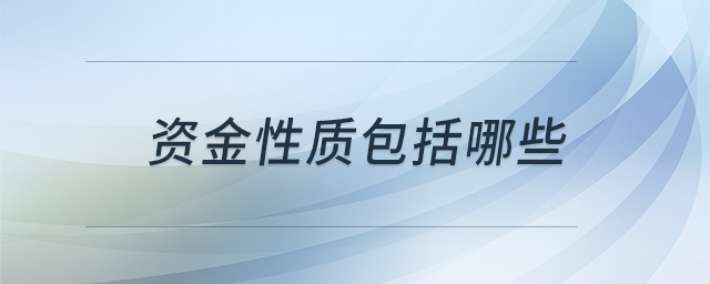 資金性質(zhì)包括哪些