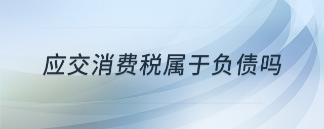應交消費稅屬于負債嗎 應交消費稅屬于負債嗎