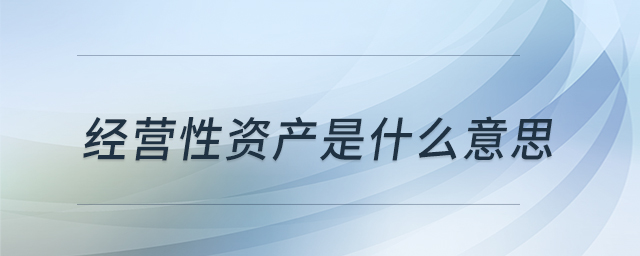 經(jīng)營性資產(chǎn)是什么意思 經(jīng)營性資產(chǎn)是什么意思