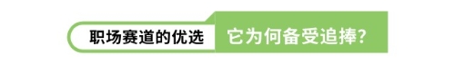 職場賽道的優(yōu)選它為何備受追捧？