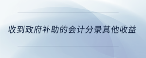 收到政府補助的會計分錄其他收益