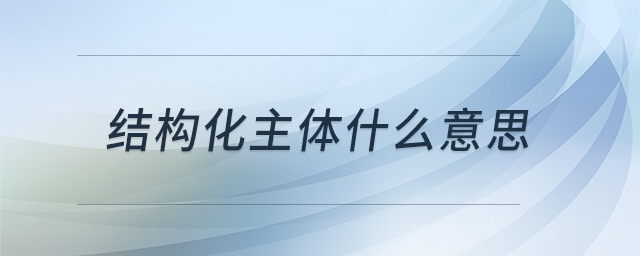 結(jié)構(gòu)化主體什么意思