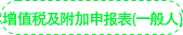 《增值稅及附加稅費申報表（一般人）》