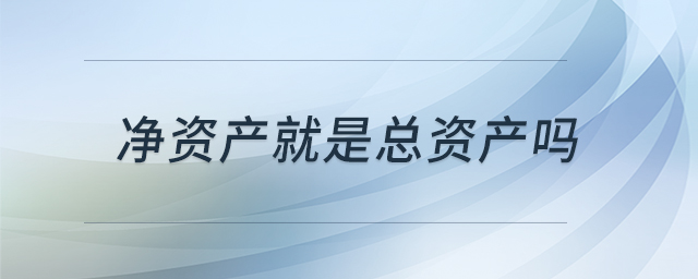 凈資產(chǎn)就是總資產(chǎn)嗎