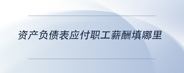 中級會計資產(chǎn)負債表應付職工薪酬填哪里