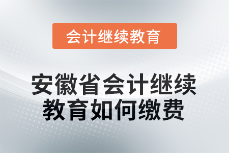 2025年安徽省會(huì)計(jì)繼續(xù)教育如何繳費(fèi)？