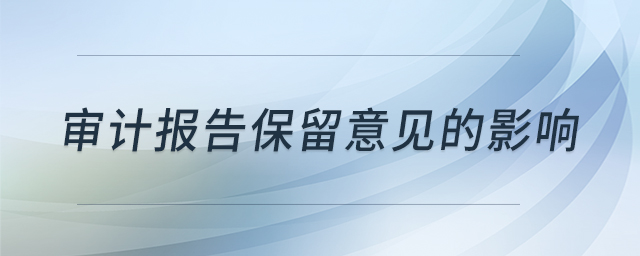 審計報告保留意見的影響 審計報告保留意見的影響