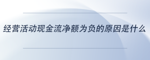 經(jīng)營活動現(xiàn)金流凈額為負的原因是什么
