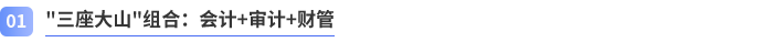 三座大山組合：會計(jì)+審計(jì)+財(cái)管
