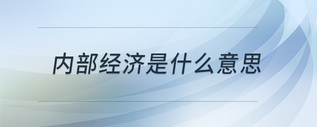 內(nèi)部經(jīng)濟(jì)是什么意思