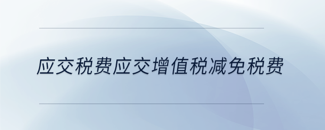 應(yīng)交稅費(fèi)應(yīng)交增值稅減免稅費(fèi)