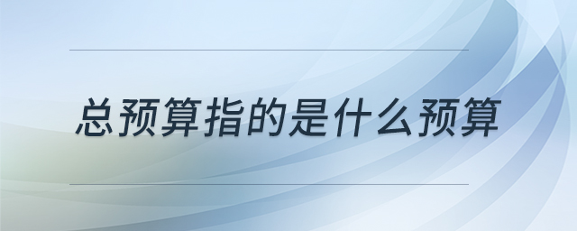 總預算指的是什么預算 總預算指的是什么預算