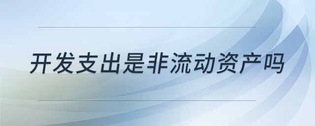 開(kāi)發(fā)支出是非流動(dòng)資產(chǎn)嗎 開(kāi)發(fā)支出是非流動(dòng)資產(chǎn)嗎