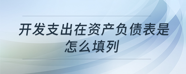 開(kāi)發(fā)支出在資產(chǎn)負(fù)債表是怎么填列 開(kāi)發(fā)支出在資產(chǎn)負(fù)債表是怎么填列