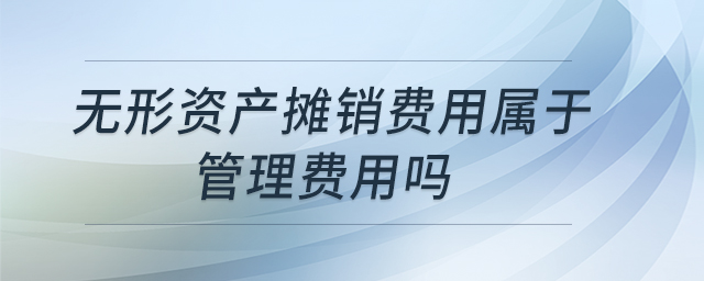 無(wú)形資產(chǎn)攤銷費(fèi)用屬于管理費(fèi)用嗎