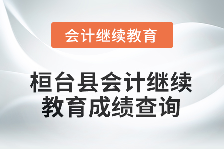 2025年桓臺(tái)縣會(huì)計(jì)人員繼續(xù)教育成績(jī)查詢方式