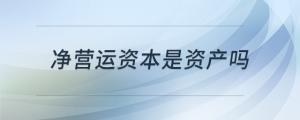凈營運(yùn)資本是資產(chǎn)嗎