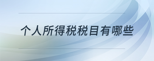 個(gè)人所得稅稅目有哪些 個(gè)人所得稅稅目有哪些