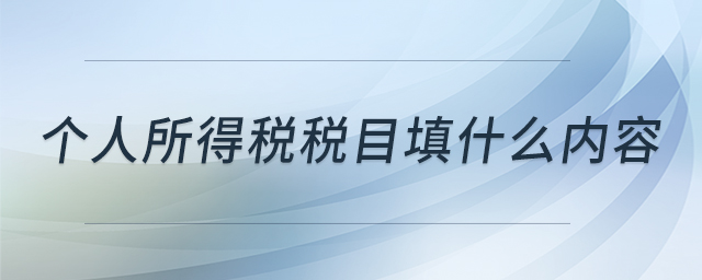 個(gè)人所得稅稅目填什么內(nèi)容