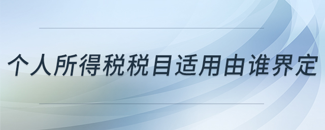 個(gè)人所得稅稅目適用由誰(shuí)界定 個(gè)人所得稅稅目適用由誰(shuí)界定