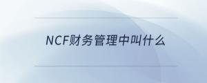 ncf財(cái)務(wù)管理中叫什么
