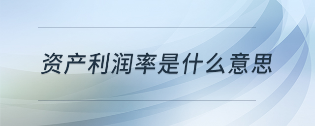 資產(chǎn)利潤(rùn)率是什么意思