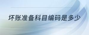 壞賬準(zhǔn)備科目編碼是多少