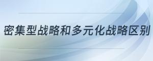 密集型戰(zhàn)略和多元化戰(zhàn)略區(qū)別
