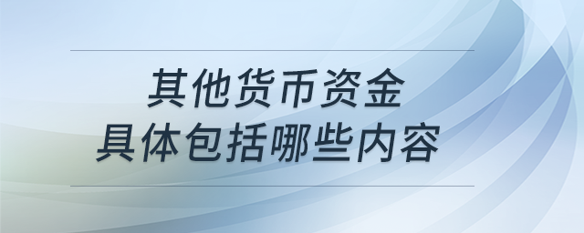 其他貨幣資金具體包括哪些內(nèi)容 其他貨幣資金具體包括哪些內(nèi)容