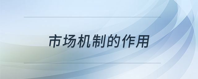 市場機(jī)制的作用 市場機(jī)制的作用