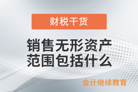 銷售無形資產(chǎn)的范圍包括什么？