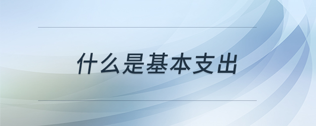 什么是基本支出 什么是基本支出