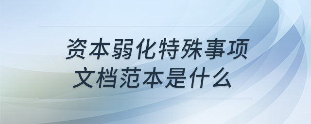 資本弱化特殊事項文檔范本是什么
