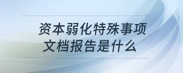 資本弱化特殊事項(xiàng)文檔報(bào)告是什么