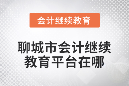 2025年度聊城市會(huì)計(jì)人員繼續(xù)教育平臺(tái)在哪？