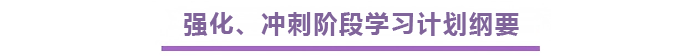 強化、沖刺階段學(xué)習(xí)計劃綱要