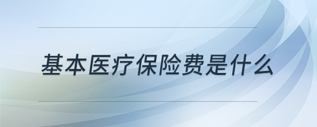 基本醫(yī)療保險費是什么 基本醫(yī)療保險費是什么