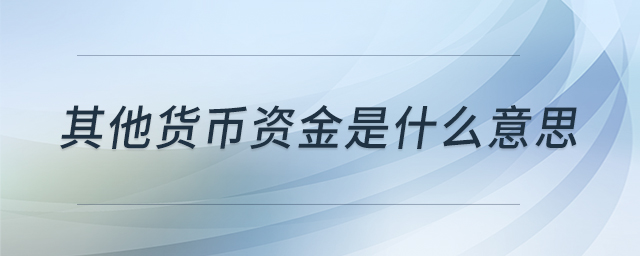 其他貨幣資金是什么意思 其他貨幣資金是什么意思