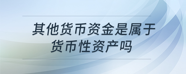 其他貨幣資金是屬于貨幣性資產(chǎn)嗎 其他貨幣資金是屬于貨幣性資產(chǎn)嗎