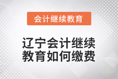 2026年遼寧會計(jì)繼續(xù)教育如何繳費(fèi)？