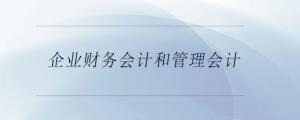 企業(yè)財務會計和管理會計