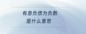 有息負債為負數(shù)是什么意思