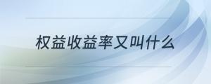 權(quán)益收益率又叫什么