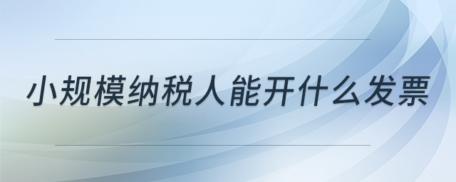小規(guī)模納稅人能開(kāi)什么發(fā)票 小規(guī)模納稅人能開(kāi)什么發(fā)票