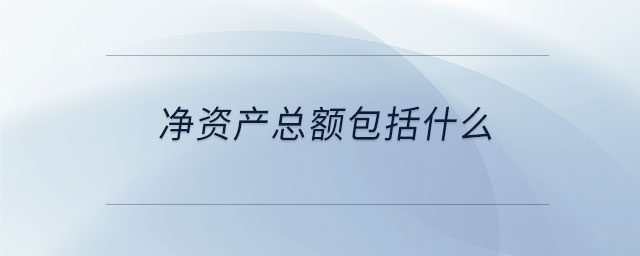 凈資產(chǎn)總額包括什么